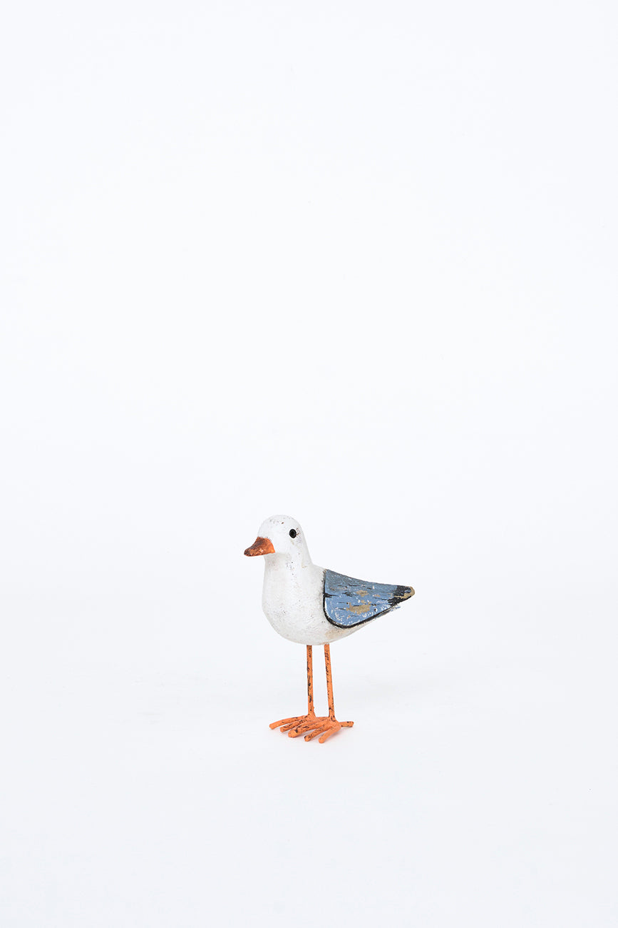 Seagull Standing