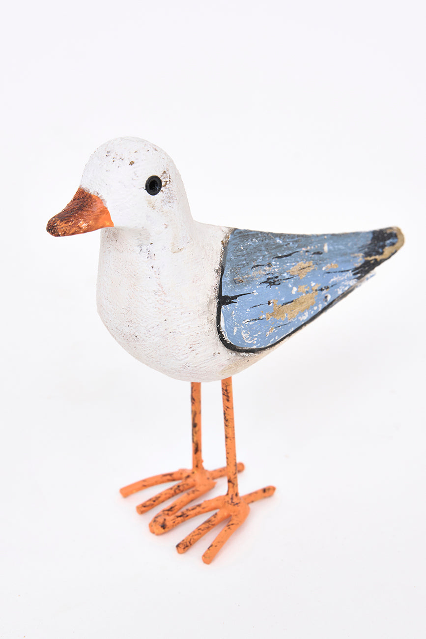 Seagull Standing