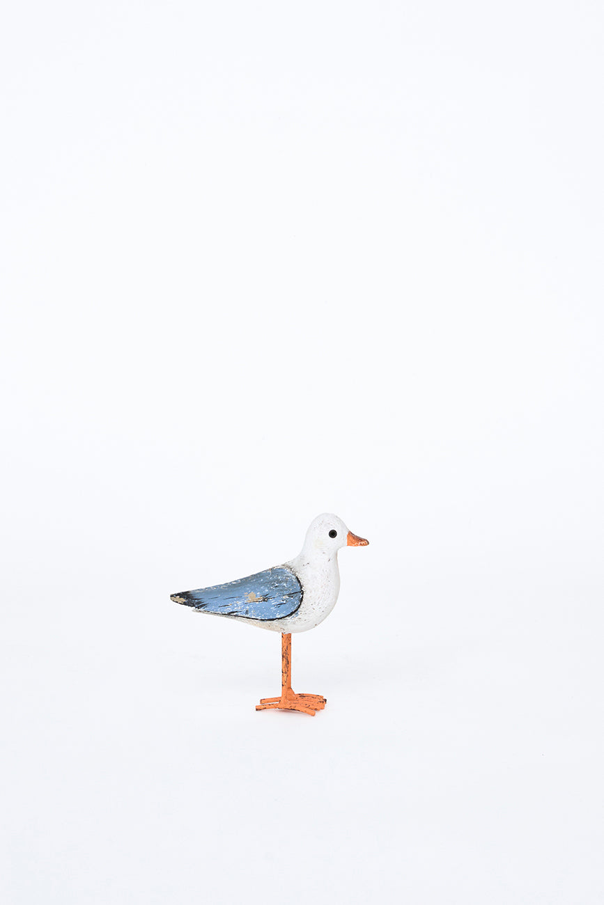 Seagull Standing