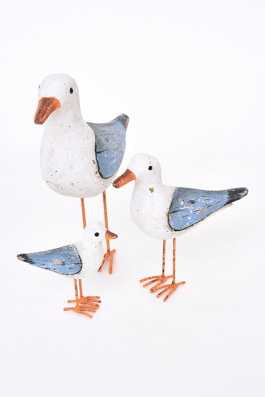 Seagull Standing
