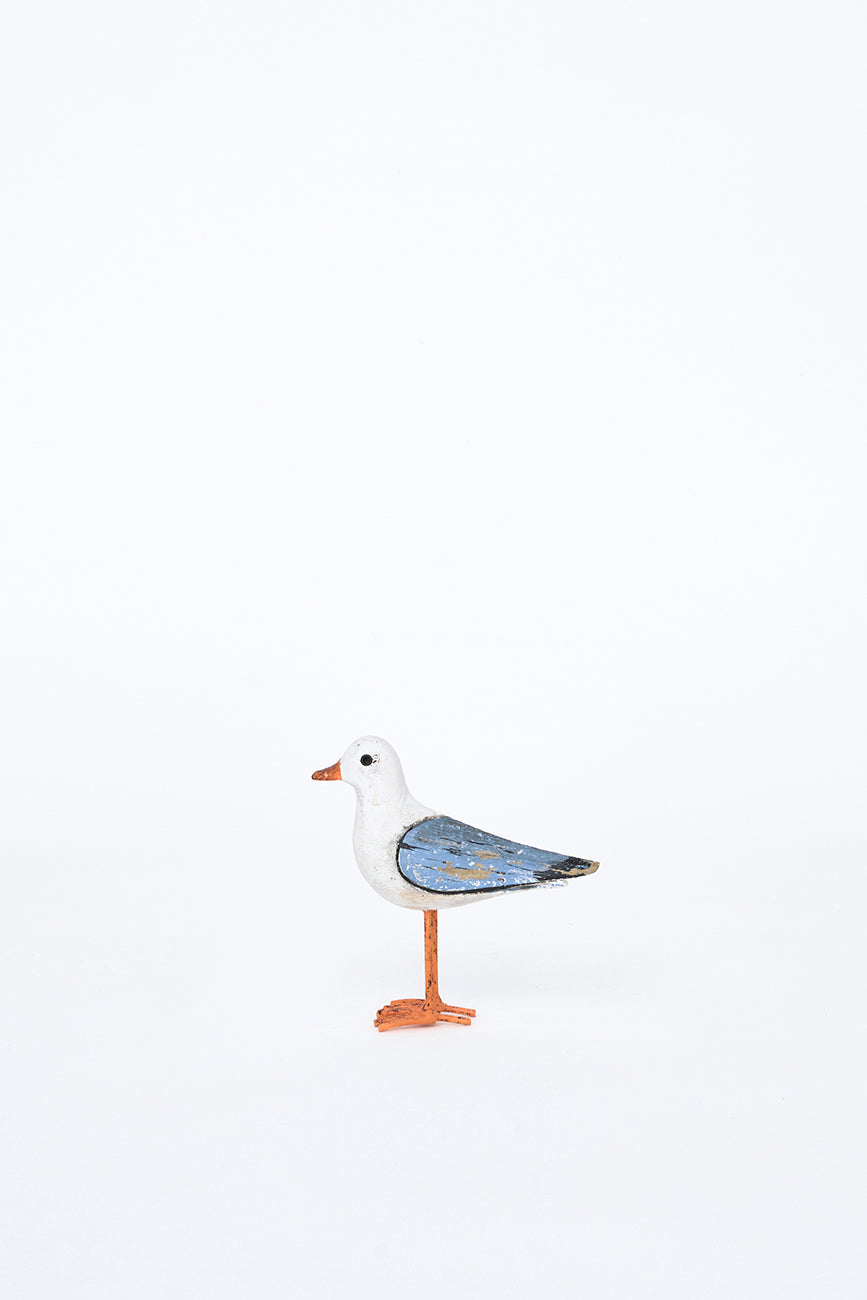 Seagull Standing
