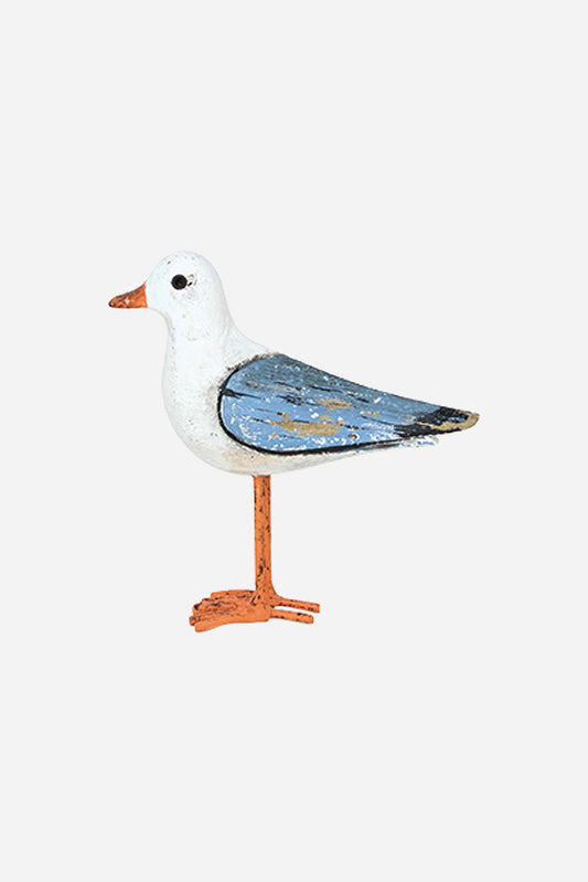 Seagull Standing