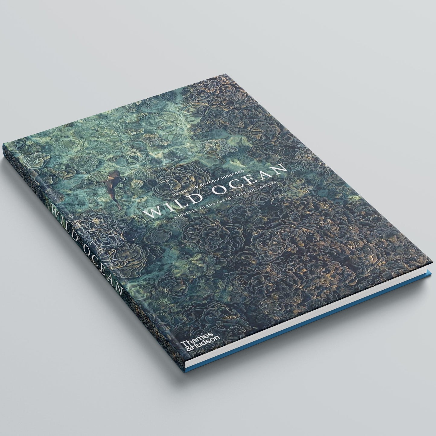 WIld Ocean Coffee Table Book
