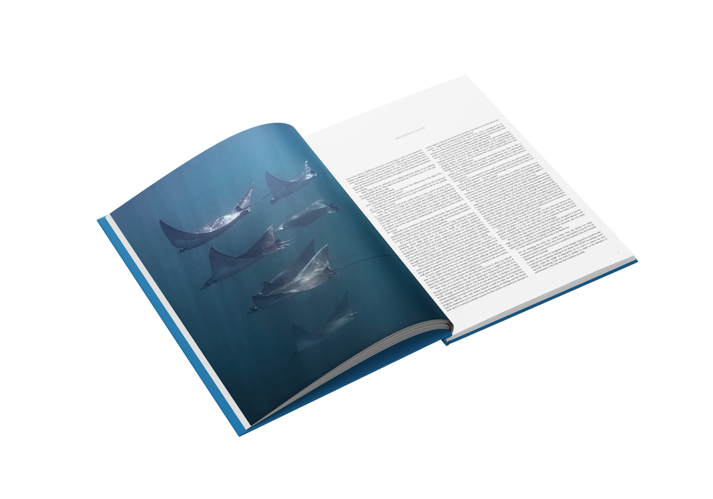 WIld Ocean Coffee Table Book